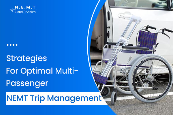 Strategies for Optimal Multi-Passenger NEMT Trip Management
